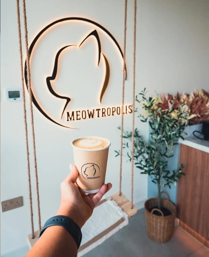 Top Animal and Pet Cafés in the UAE Top Animal and Pet Cafés in the UAE